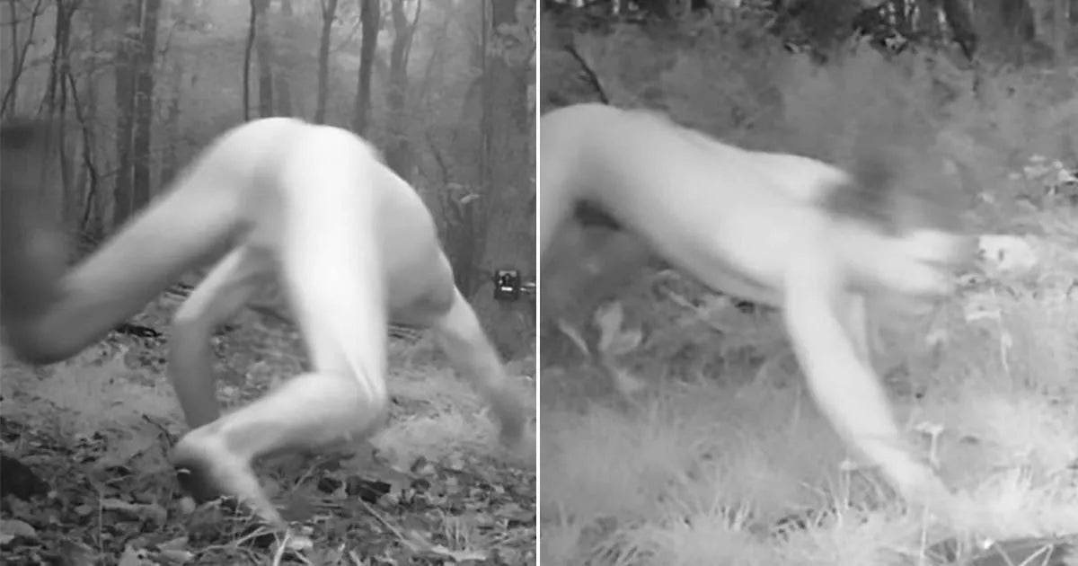 A split-screen black-and-white night-vision scene showing a nude person crouching and crawling through a wooded outdoor setting.