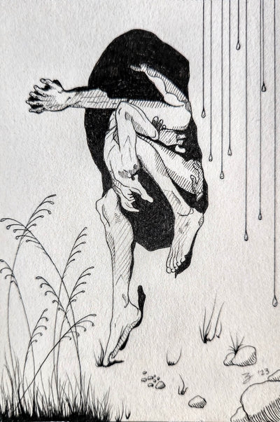 Anatomies #2