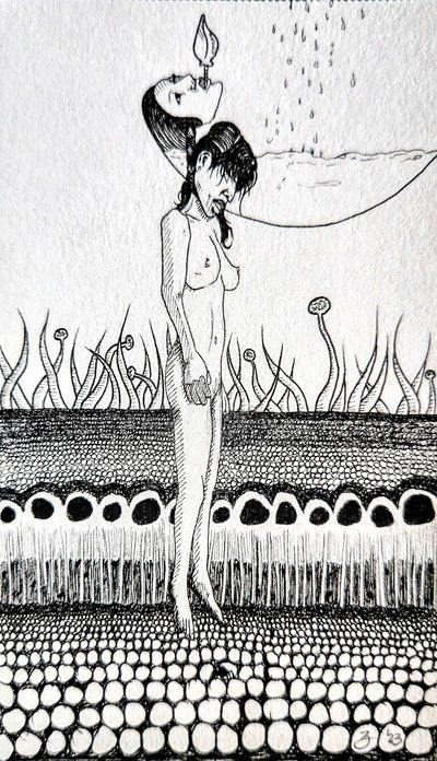 Anatomies #8